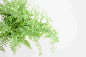 Ręczne szlifowanie krawędzi schodów z lastryko podczas renowacji, pracownik w rękawicach ochronnych, widoczny pył.