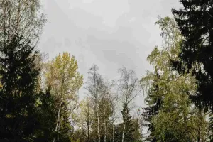 Dłonie mierzą szerokość białego parapetu miarką metalową, ilustrując krok pomiaru przed montażem.