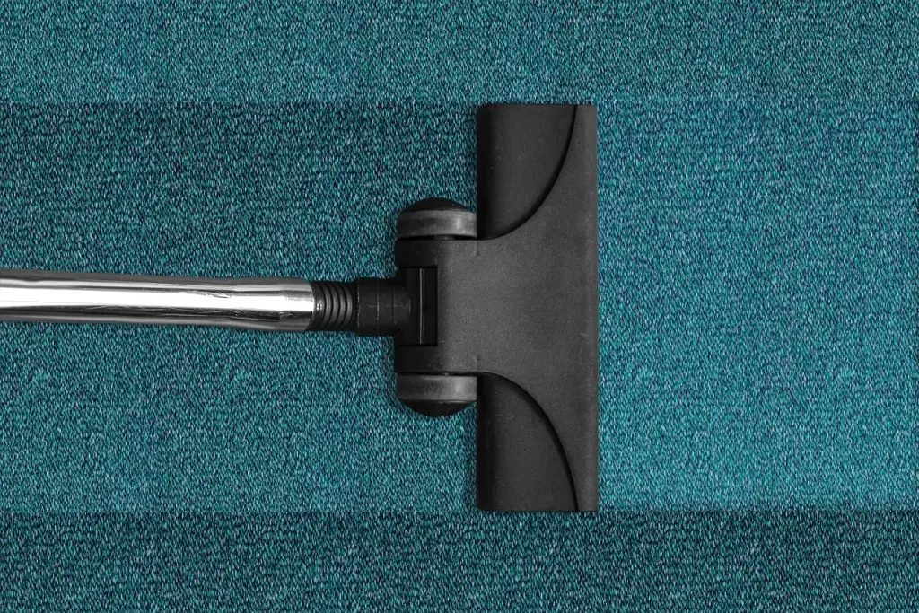 Dlaczego warto kupić odkurzacz Karcher z funkcją prania?